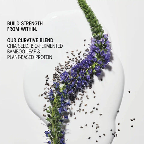 Hair Alchemy Discovery Collection